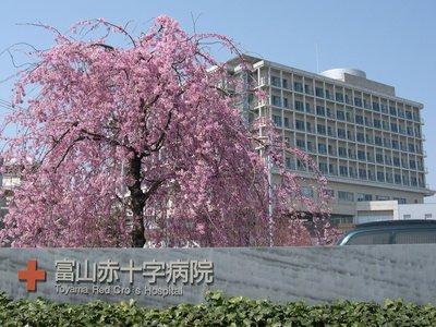 富山赤十字病院麻酔科専門研修プログラム
