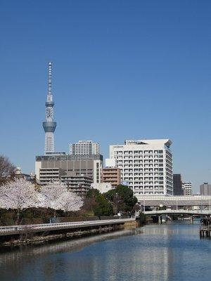 東京都立墨東病院麻酔科専門研修プログラム