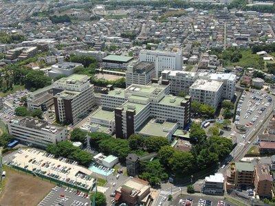聖マリアンナ医科大学麻酔科専門研修プログラム