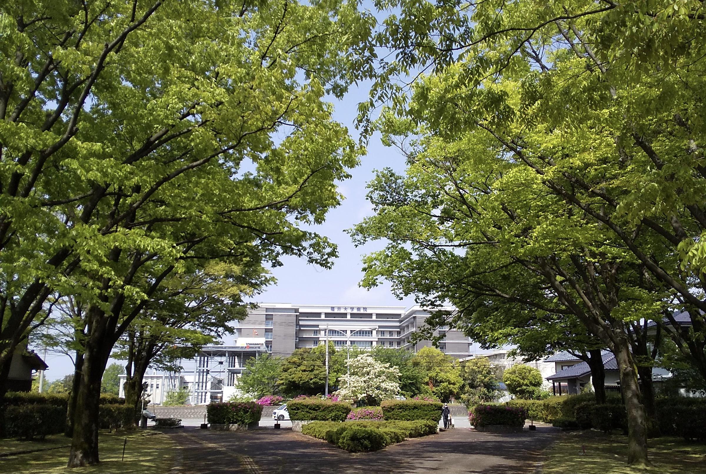 福井大学医学部附属病院専門研修プログラム