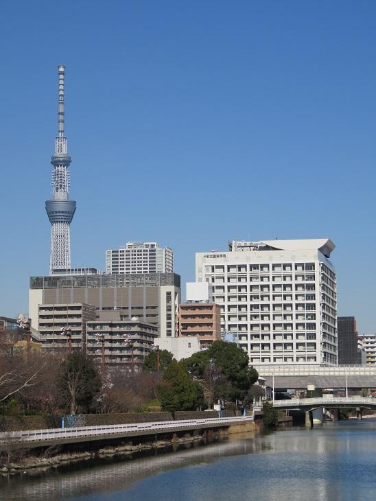 東京都立墨東病院麻酔科専門研修プログラム