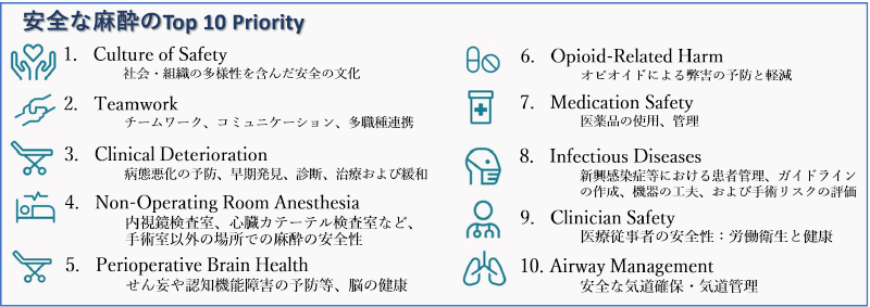 Top 10 Perioperative Patient Safety Priorities.